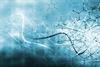 Abstract chemical structures floating in space