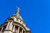 CW241117 Science primers for UK judges