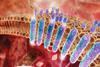 GPCR