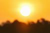 A photograph of the sun glaring in a clear sky