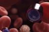 blood cells
