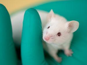 Tox21_iStock_10516636_300tb