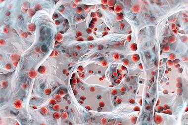 An image showing a closeup view of a biofilm of antibiotic resistant bacteria