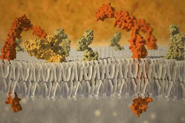 A picture of a cell membrane