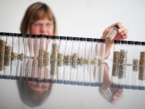 Chemists-wage-war-on-synthetic-drugs_PA-14312247_300tb