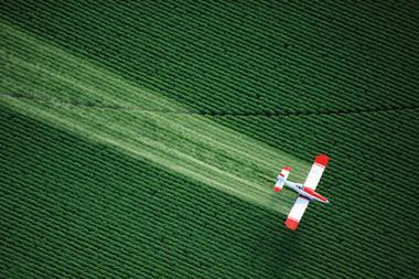 plane crop spraying