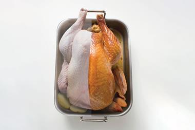 Half-cooked turkey